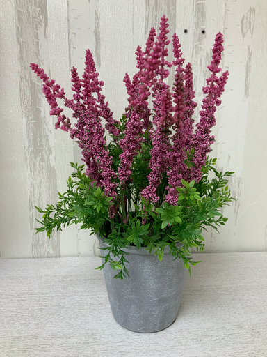 MACETA TIARELLA